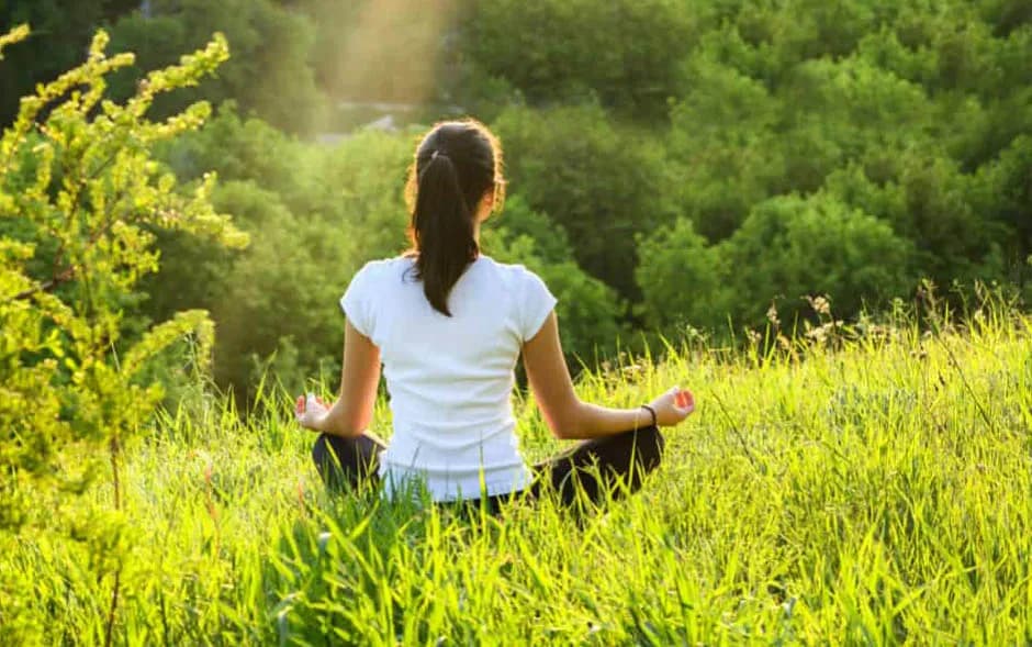 Grzybowe wsparcie i sposób na regeneracje!